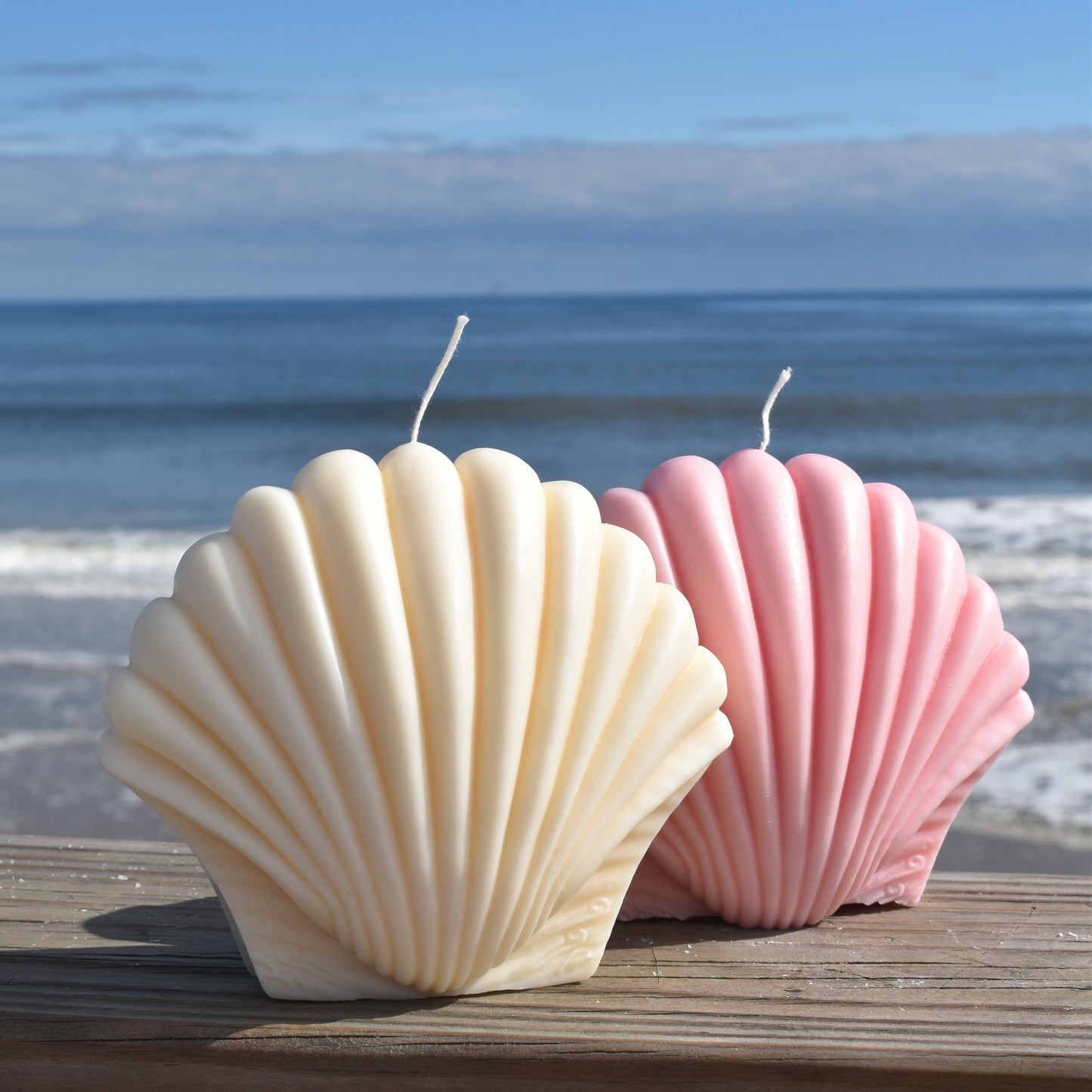 White Jumbo Shell Candle