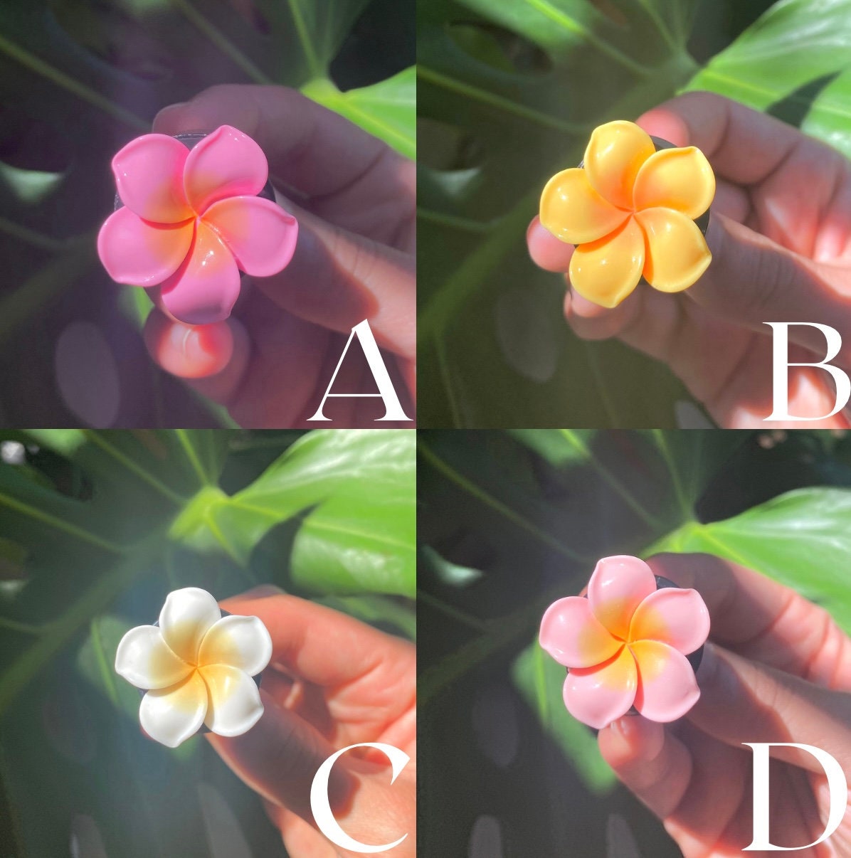 Plumeria Car Vent Freshener & Fragrance Oil
