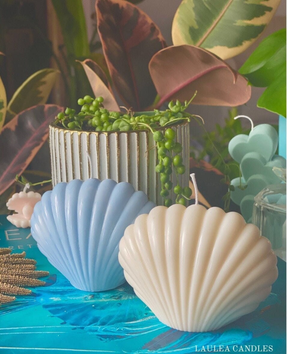 Shell Candle| Soy Wax Candle| Shell Decor| Seashell Candle| Scallop| Pretty Candle| Ocean Decor| Ocean accessories| Tropical| Coconut Girl|