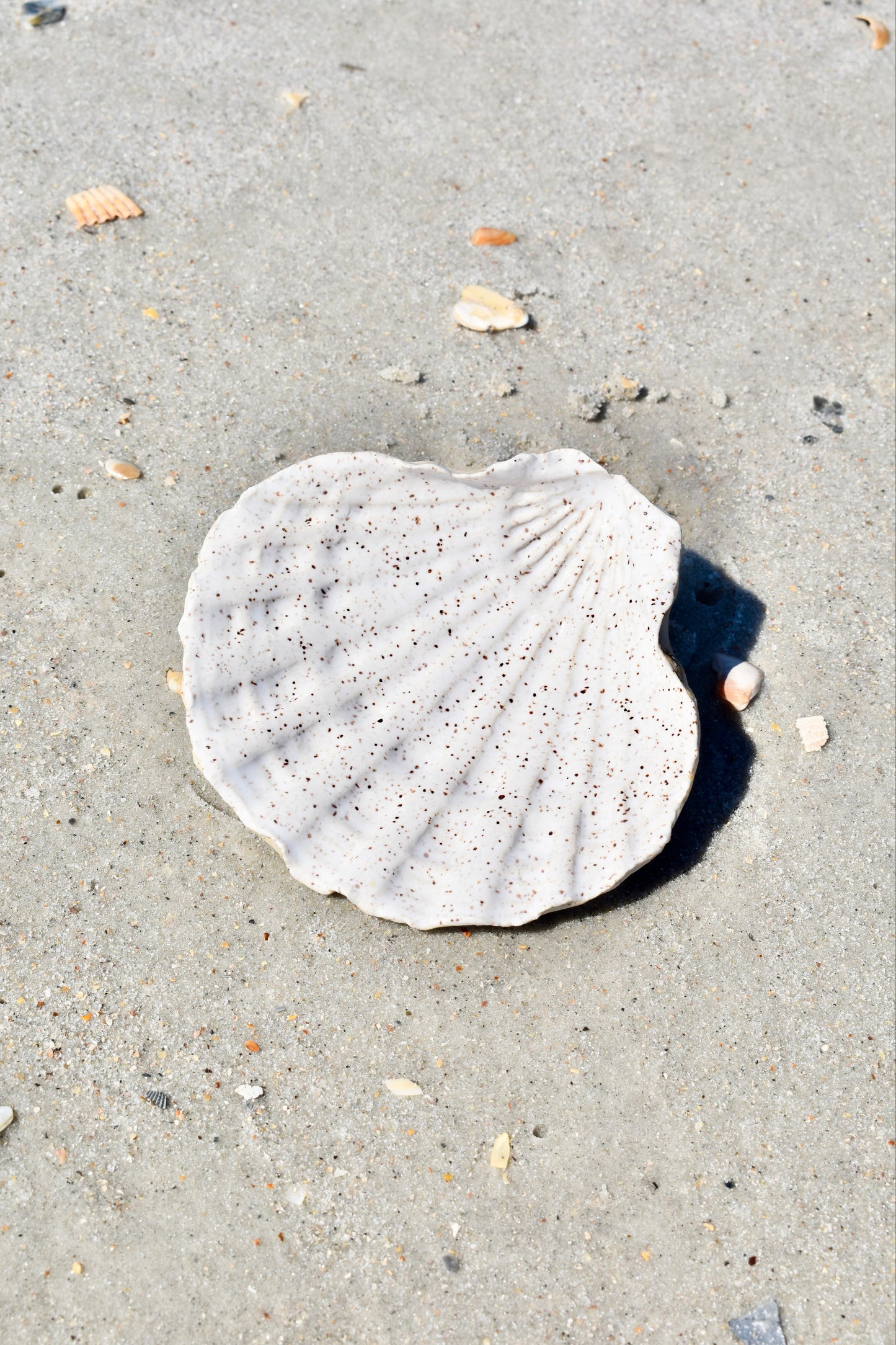 White Speckled Scallop Tray
