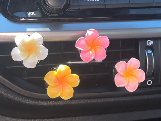 Plumeria Car Vent Freshener & Fragrance Oil