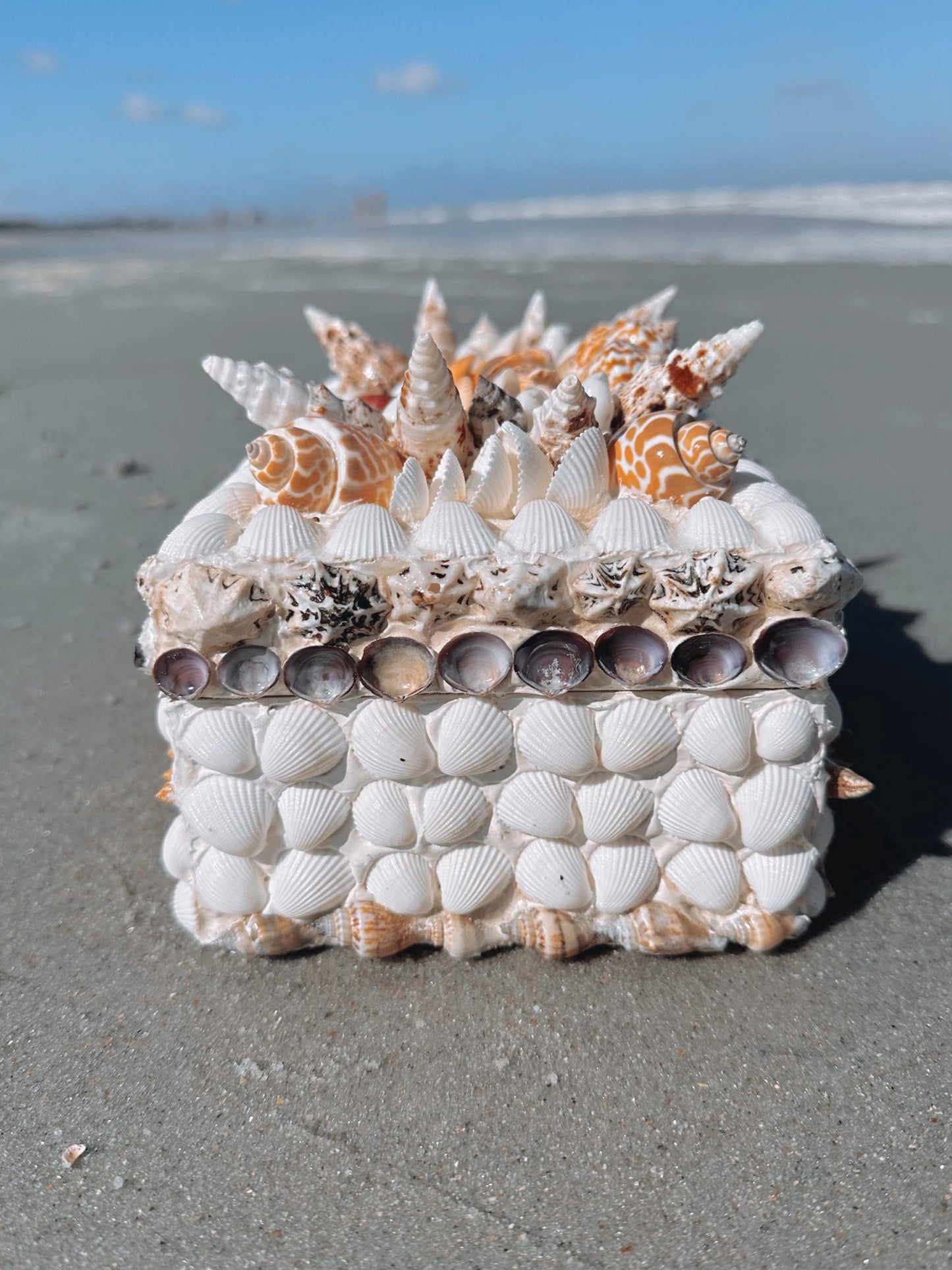 Sunkissed Seashell Box| Coastal Cowgirl Decor Jewelry Holder Beachy Aesthetic Accessories Nautical Mermaid Treasure Shell Ocean Gift Art