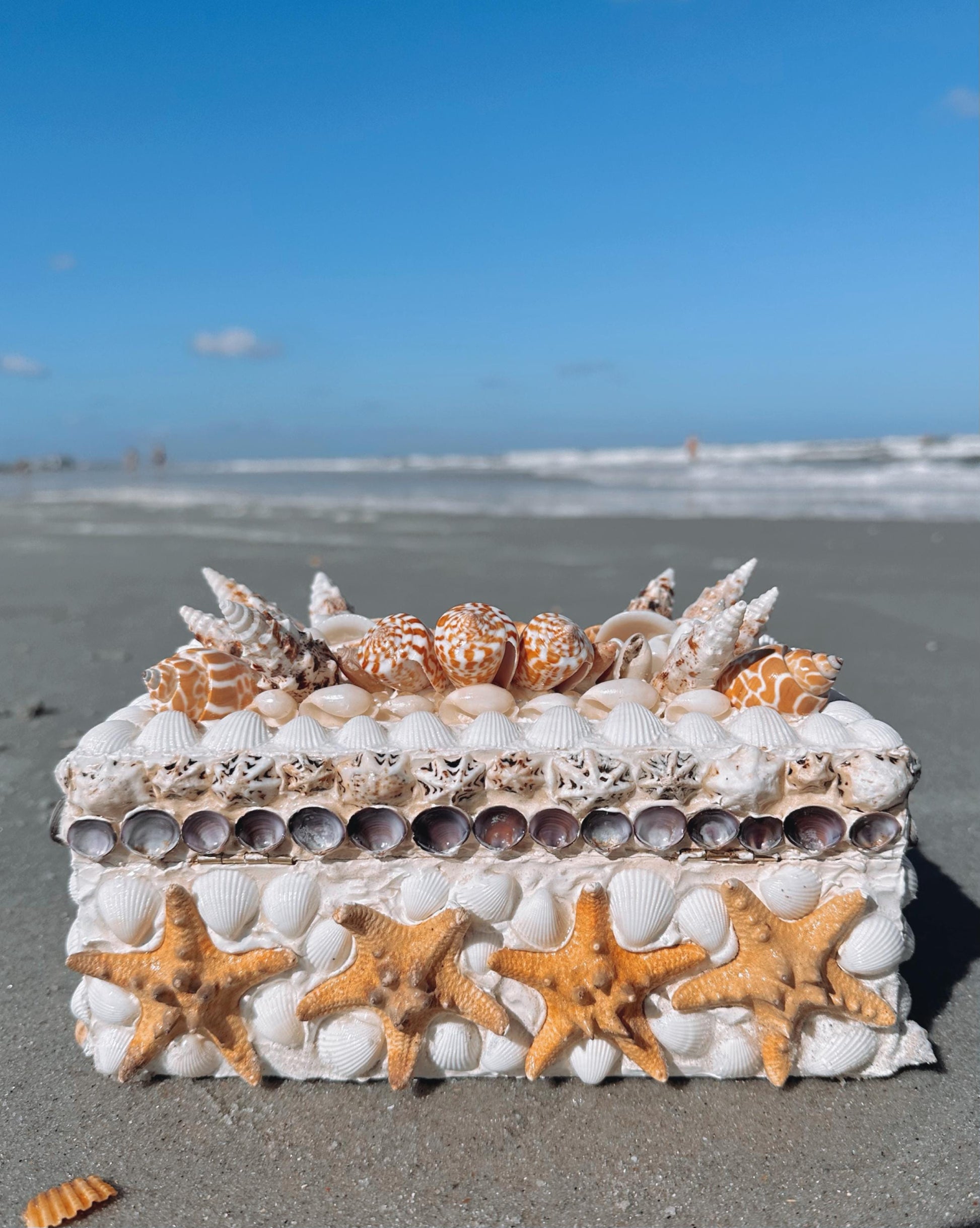 Sunkissed Seashell Box| Coastal Cowgirl Decor Jewelry Holder Beachy Aesthetic Accessories Nautical Mermaid Treasure Shell Ocean Gift Art