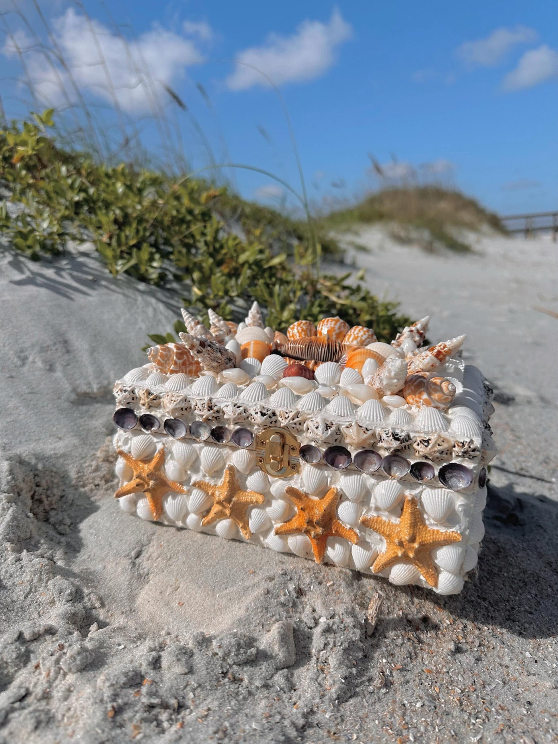 Sunkissed Seashell Box| Coastal Cowgirl Decor Jewelry Holder Beachy Aesthetic Accessories Nautical Mermaid Treasure Shell Ocean Gift Art