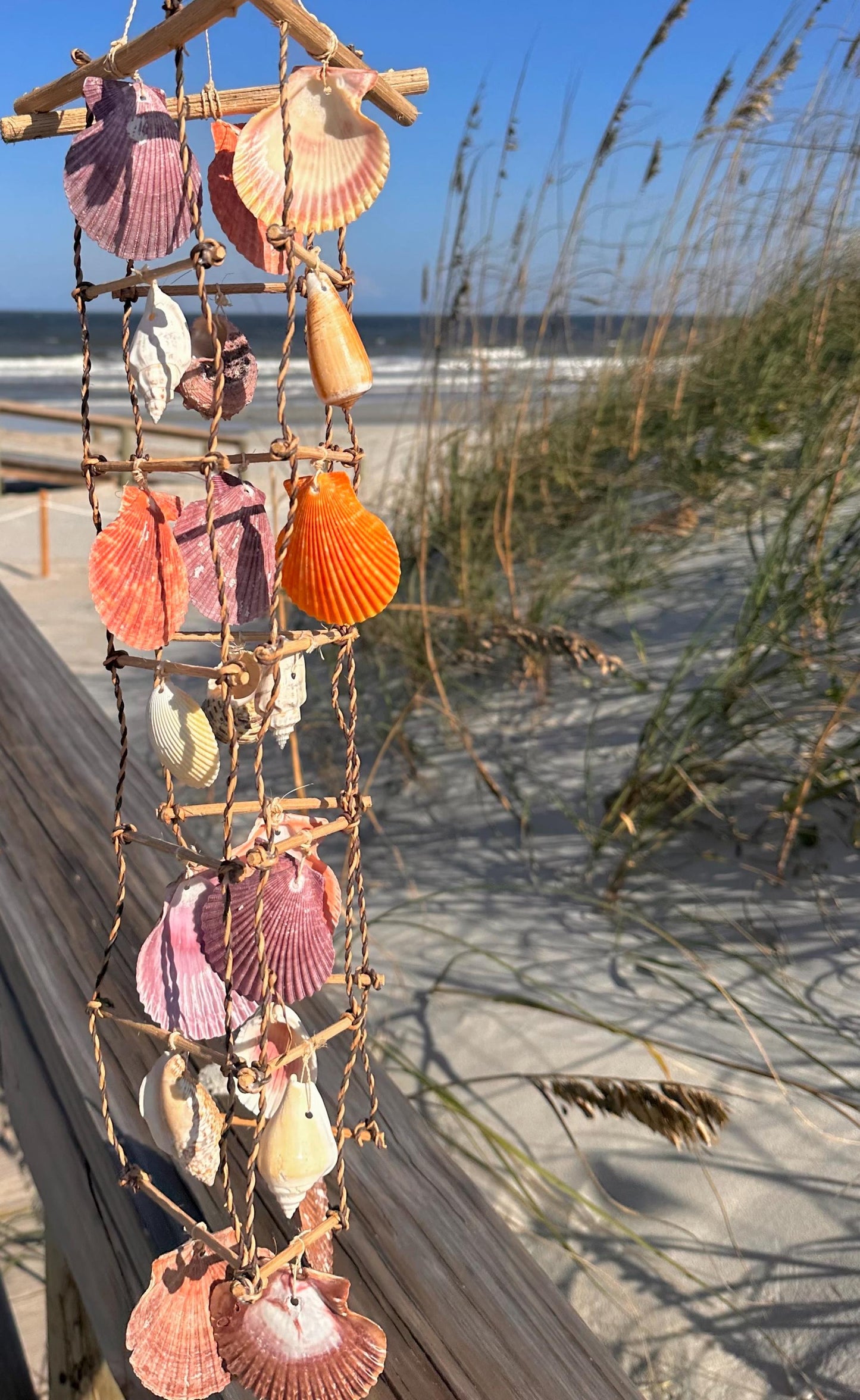 Multicolor Shell Windchime Hanging Beachy Wall Decor Ocean Home