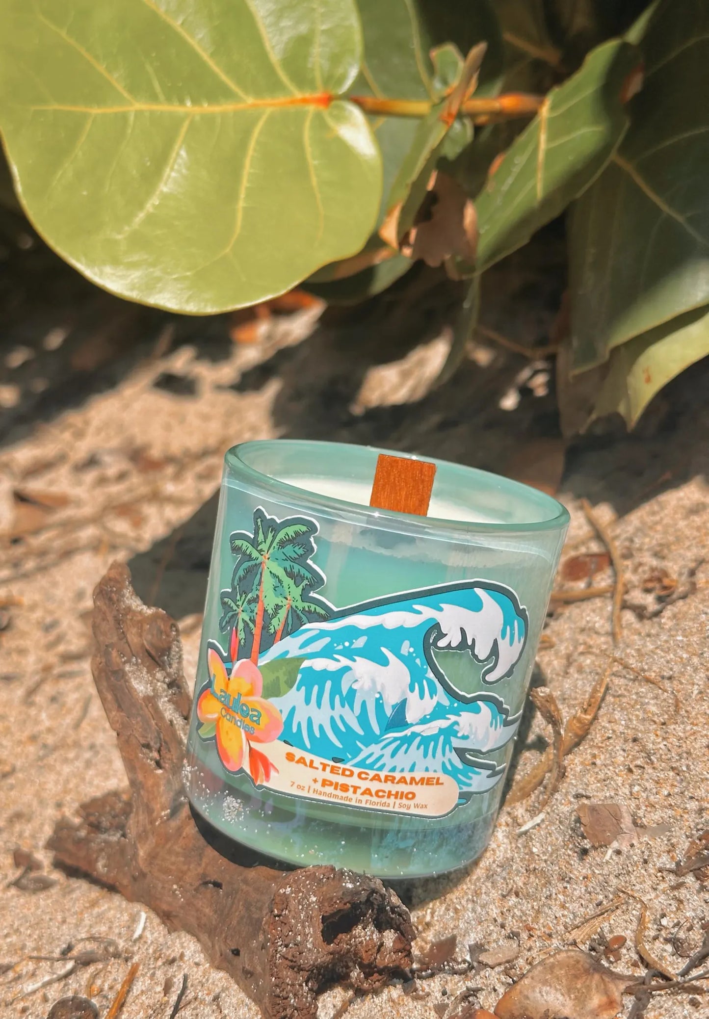 Signature Shark Tooth Candle